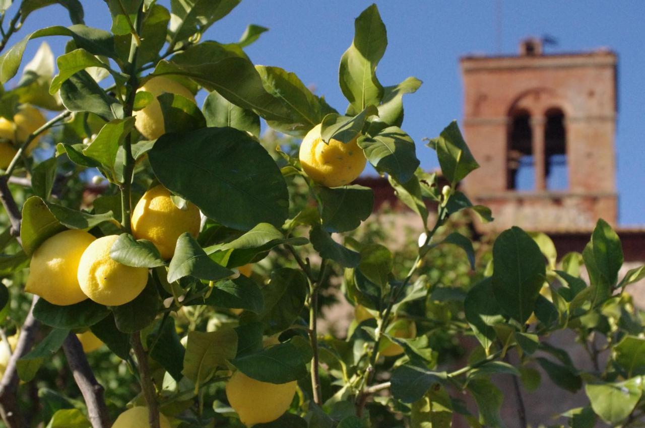 ピエンツァ Fattoria Monastero Sant'Anna In Camprenaヴィラ エクステリア 写真